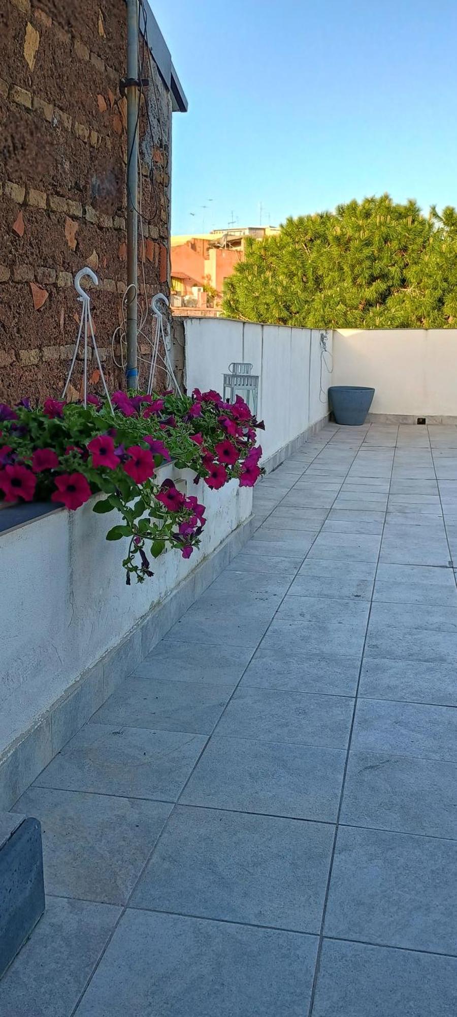 Grecale House * CTA