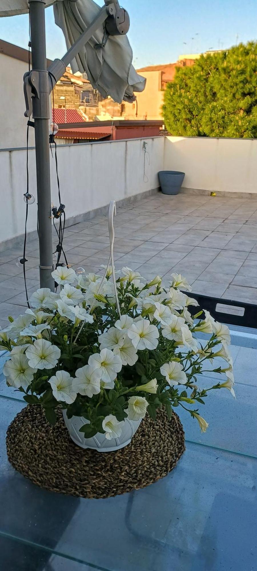 Apartment Grecale House